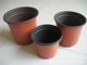 15cm Spitzen-Dia Disposable Plastic Flower Pots Kaktus 5 Gallonen-Pflanzer