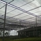 Kindertagesstätten-Schatten-Netz Sunblock-Garten-Filetarbeits-Masche 300gsm recyclebare 98%