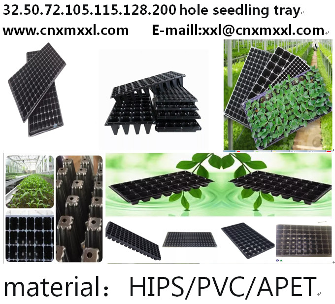 72 Zellenkindertagesstätten-Tray Plastic Seeding Tray Low-Preis-Mango-Betriebserdbeere, die Behälter 5 sät