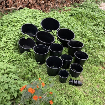 Dauerhafte harte Kunststoff 3 Gallonen schwarze Blumenpflanzen Topf große Kinderpflanzen Topf aus PP / HDPE