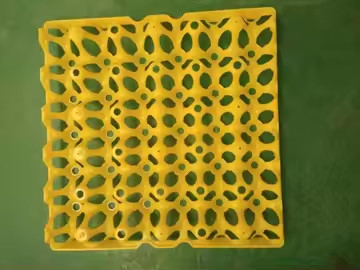 Farbige gelbe Plastikblasen Thermoformed Vakuumplatte Eierverpackung Transport 30 Eierverpackung