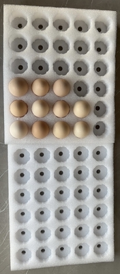 EPE-Eierbecher Zerbrechliche Produkte Perlenbaumwolle Verpackung Schutz