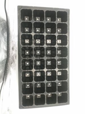 2 mm dicke 32-Zellen-Kunststoff-Anzuchtschale für Forstbäume - Alterungsbeständig und langlebig