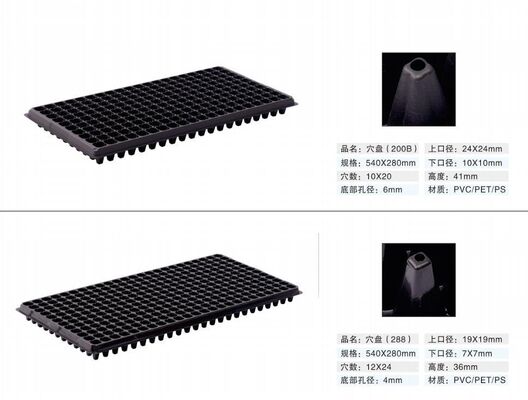 200-Zellen-Plastik-Sämlingsbehälter - 2 mm dick und alterungsbeständig für eine dauerhafte Pflanzenvermehrung