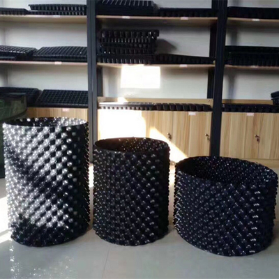 Neues Design Luftblumenpflanzpflanzpflanzpflanzpflanzpflanzpflanzpflanzpflanzpflanzen