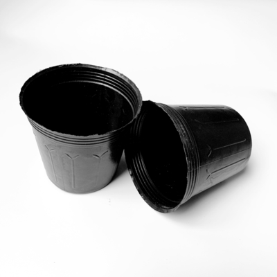 Wholesale plastic soft flower seeding pot plant cactus and succulent nursery