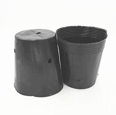 HDPE-Plastik-Kinderpflanzentopf Zwiebelkerne Schwarze Töpfe für Gewächshäuser