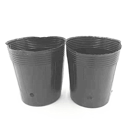 HDPE-Plastik-Kinderpflanzentopf Zwiebelkerne Schwarze Töpfe für Gewächshäuser