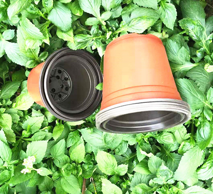 Einweg-Doppelfarben-Blütentopf für Gewächshaus und Garten