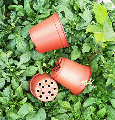 Einweg-Doppelfarben-Blütentopf für Gewächshaus und Garten