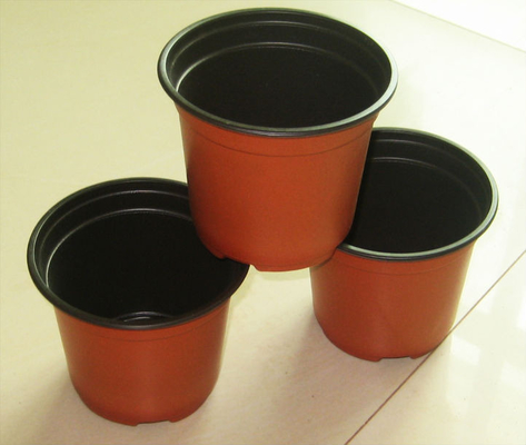 Warm verkaufte Runde Schachtel Weich hydroponischer frischer Blumenkrug Alterungsbeständig