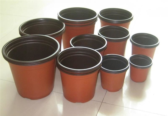 Warm verkaufte Runde Schachtel Weich hydroponischer frischer Blumenkrug Alterungsbeständig