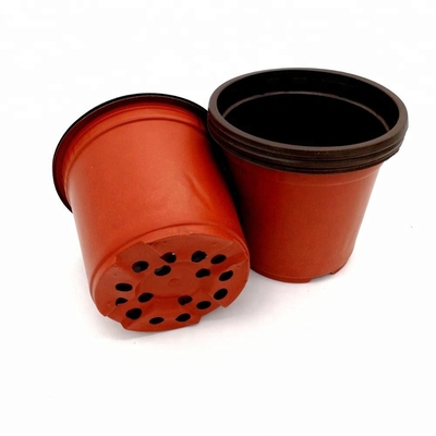 PP Sonne 15 cm Breite Kunststoffblumenkränze 12 Abflusslöcher