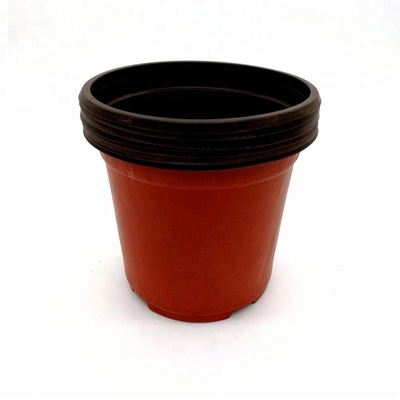 PP Sonne 15 cm Breite Kunststoffblumenkränze 12 Abflusslöcher