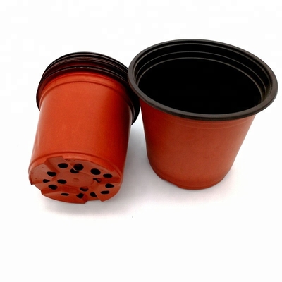 PP Sonne 15 cm Breite Kunststoffblumenkränze 12 Abflusslöcher