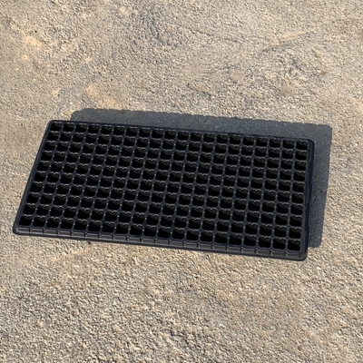 Neues Design Pflanzenpflanzenpflanzenpflanzenpflanzenpflanzenpflanzenpflanzenpflanzenpflanzenpflanzenpflanzenpflanzenpflanzenpflanzenpflanzenpflanzenpflanzenpflanzenpflanzenpflanzenpflanzenpflanzenpflanzenpflanzenpflanzenpflanzenpflanzenpflanzenpflanzenpflanzenpflanzenpflanzenpflanzenpflanzenpflanzenpflanzenpflanzenpflanzenpflanzenpflanzenpflanzenpflanzenpflanzenpflanzenpflanzenpflanzenpflanzenpflanzenpflanzenpflanzenpflanzenpflanzenpflanzenpflanzenpflanzenpflanzenpflanzenpflanzenpflanzenpflanze