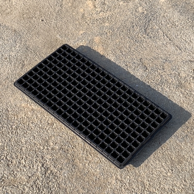 Neues Design Pflanzenpflanzenpflanzenpflanzenpflanzenpflanzenpflanzenpflanzenpflanzenpflanzenpflanzenpflanzenpflanzenpflanzenpflanzenpflanzenpflanzenpflanzenpflanzenpflanzenpflanzenpflanzenpflanzenpflanzenpflanzenpflanzenpflanzenpflanzenpflanzenpflanzenpflanzenpflanzenpflanzenpflanzenpflanzenpflanzenpflanzenpflanzenpflanzenpflanzenpflanzenpflanzenpflanzenpflanzenpflanzenpflanzenpflanzenpflanzenpflanzenpflanzenpflanzenpflanzenpflanzenpflanzenpflanzenpflanzenpflanzenpflanzenpflanzenpflanzenpflanze