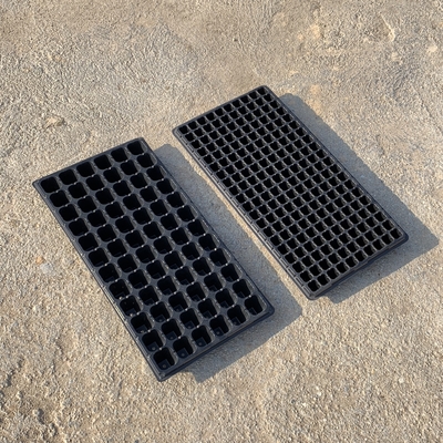 Neues Design Pflanzenpflanzenpflanzenpflanzenpflanzenpflanzenpflanzenpflanzenpflanzenpflanzenpflanzenpflanzenpflanzenpflanzenpflanzenpflanzenpflanzenpflanzenpflanzenpflanzenpflanzenpflanzenpflanzenpflanzenpflanzenpflanzenpflanzenpflanzenpflanzenpflanzenpflanzenpflanzenpflanzenpflanzenpflanzenpflanzenpflanzenpflanzenpflanzenpflanzenpflanzenpflanzenpflanzenpflanzenpflanzenpflanzenpflanzenpflanzenpflanzenpflanzenpflanzenpflanzenpflanzenpflanzenpflanzenpflanzenpflanzenpflanzenpflanzenpflanzenpflanze