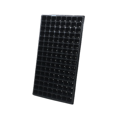Neues Design Pflanzenpflanzenpflanzenpflanzenpflanzenpflanzenpflanzenpflanzenpflanzenpflanzenpflanzenpflanzenpflanzenpflanzenpflanzenpflanzenpflanzenpflanzenpflanzenpflanzenpflanzenpflanzenpflanzenpflanzenpflanzenpflanzenpflanzenpflanzenpflanzenpflanzenpflanzenpflanzenpflanzenpflanzenpflanzenpflanzenpflanzenpflanzenpflanzenpflanzenpflanzenpflanzenpflanzenpflanzenpflanzenpflanzenpflanzenpflanzenpflanzenpflanzenpflanzenpflanzenpflanzenpflanzenpflanzenpflanzenpflanzenpflanzenpflanzenpflanzenpflanze