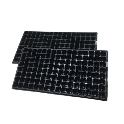 Neues Design Pflanzenpflanzenpflanzenpflanzenpflanzenpflanzenpflanzenpflanzenpflanzenpflanzenpflanzenpflanzenpflanzenpflanzenpflanzenpflanzenpflanzenpflanzenpflanzenpflanzenpflanzenpflanzenpflanzenpflanzenpflanzenpflanzenpflanzenpflanzenpflanzenpflanzenpflanzenpflanzenpflanzenpflanzenpflanzenpflanzenpflanzenpflanzenpflanzenpflanzenpflanzenpflanzenpflanzenpflanzenpflanzenpflanzenpflanzenpflanzenpflanzenpflanzenpflanzenpflanzenpflanzenpflanzenpflanzenpflanzenpflanzenpflanzenpflanzenpflanzenpflanze