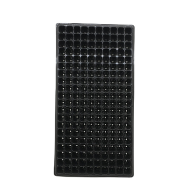 2mm thick128-cell seedling tray, sowing tray