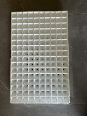 Schaumpflanzendeckel Pflanzendeckel Pflanzendeckel hydroponisches Deckel Weißschäumendeckel Pfefferpflanzendeckel Großhandel schwimmende Schaumplatte Wasserpflanzendeckel Verdicktes Obst und Gemüse Pfeffer
