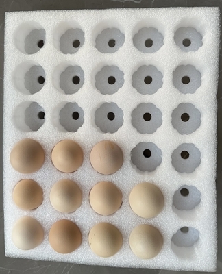 EPE-Eierbecher Zerbrechliche Produkte Perlenbaumwolle Verpackung Schutz
