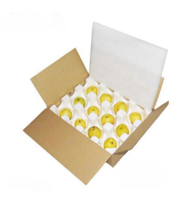 Schutz durch Blasenverpackung EPS