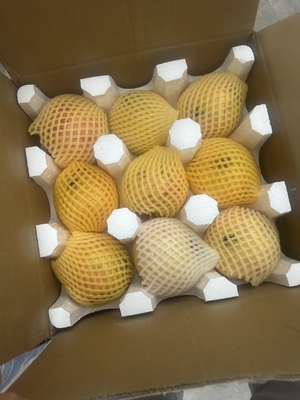 Schutz durch Blasenverpackung EPS EPE EPP EVA Verpackung für fragile Güter