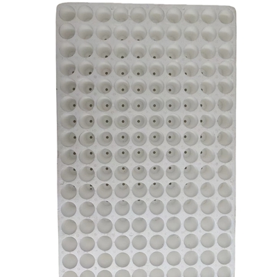 EPS-Schauplatten für Pflanzen