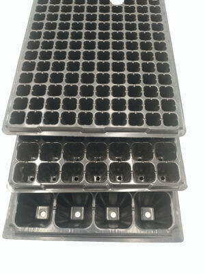2 mm dicke 32-Zellen-Kunststoff-Anzuchtschale für Forstbäume - Alterungsbeständig und langlebig