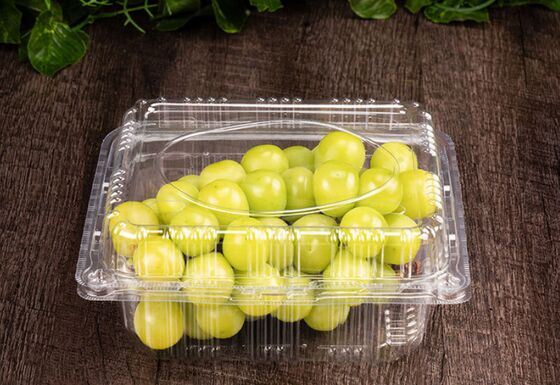 Anpassungsfähige, recycelbare PET-transparente Fruchtverpackungskiste mit Hitzesiegelung für Trauben und Tomaten