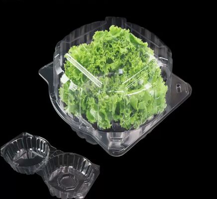 Customized Design Recyclable PET Blister Packaging with Heat Sealing for Transparent Fruit Packaging Box