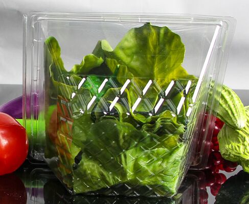 Customized Design Recyclable PET Plastic Blister Packaging with Heat Sealing for Fruit Packaging Box