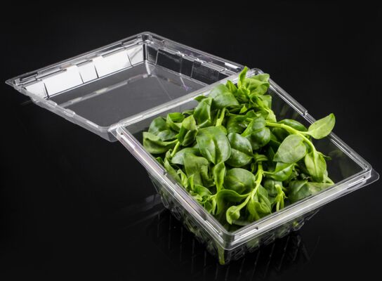 Customized Design Recyclable PET Plastic Blister Packaging with Heat Sealing for Fruit Packaging Box