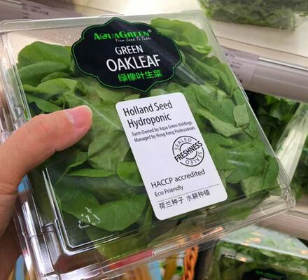 Custom Design recycelbarer PET-Verpackungskarton mit Hitzesiegelung für frisches Gemüse und Obst
