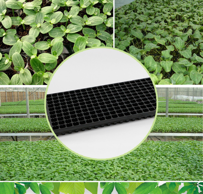 seed starting tray,plastic seed tray,nursery tray,plug tray,seedling tray