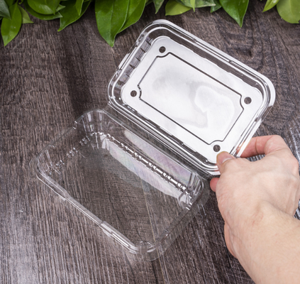Plastikkisten für Obst, Obstschalen, Fleischverpackungskisten, Gemüseverpackungskisten, Fast-Food-Kisten, Kekskisten, Kuchenkisten sowie transparente Kisten und gedruckte Kisten.