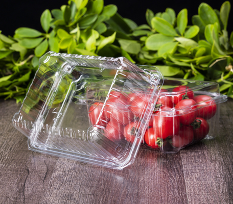 Obstkisten, Obsttabletts, Fleischverpackungsboxen, Gemüseverpackungsboxen, Fast-Food-Boxen, Keksboxen, Kuchenboxen sowie transparente Boxen und bedruckte Boxen.