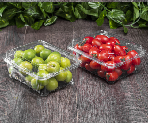 Obstkisten, Obsttabletts, Fleischverpackungsboxen, Gemüseverpackungsboxen, Fast-Food-Boxen, Keksboxen, Kuchenboxen sowie transparente Boxen und bedruckte Boxen.