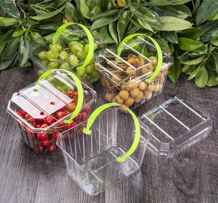 Plastikkisten für Obst, Obstschalen, Fleischverpackungskisten, Gemüseverpackungskisten, Fast-Food-Kisten, Kekskisten, Kuchenkisten sowie transparente Kisten und gedruckte Kisten.