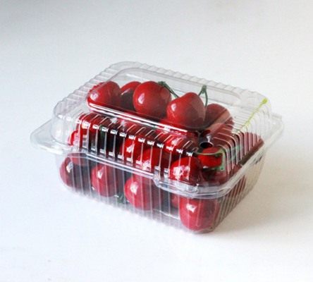 Obstkisten, Obstschalen, Fleischverpackungskisten, Gemüseverpackungskisten, Fastfood-Kisten, Kekse-Kisten sowie transparente PVC-, PP-, PET- und Druckkisten.