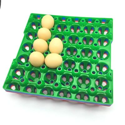 stapelbarer Plastikbrutkasten-Ei-Einstellungs-Behälter des ei-9pcs des Halter-152mm quadratischer