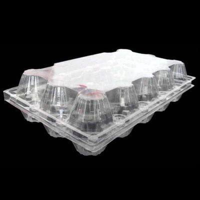Wegwerf-HAUSTIER 15packs klares Plastikquadratisches Ei Tray Holder Eierablage-71mm