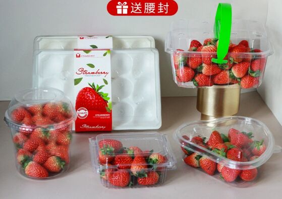 Anpassbare recycelbare PET-Obstverpackungsbox mit Heißsiegelung für Tomaten und Obst