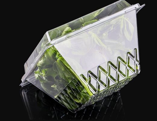 Individuell gestaltete, recycelbare PET-Blisterverpackung mit Hitzesiegelung für transparente Fruchtverpackungskiste