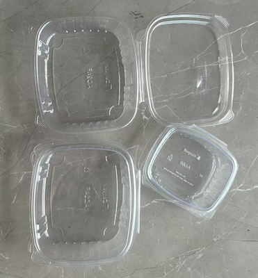 Custom Design recycelbare PET-Wärmesiegelung Fruchtverpackungskiste für Tomaten und Blaubeeren