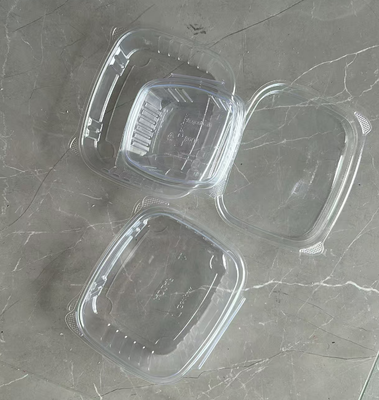 Custom Design recycelbare PET-Wärmesiegelung Fruchtverpackungskiste für Tomaten und Blaubeeren
