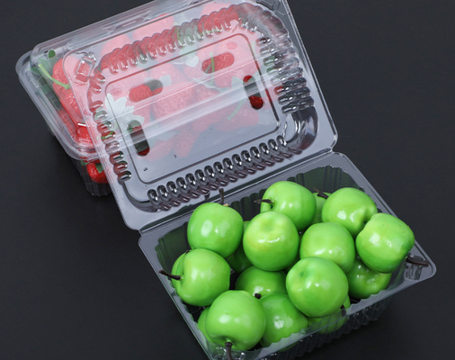 Individuelles Design Recycling-PET-Wärmesiegelung Fruchtverpackungskiste Plastikblasenverpackung